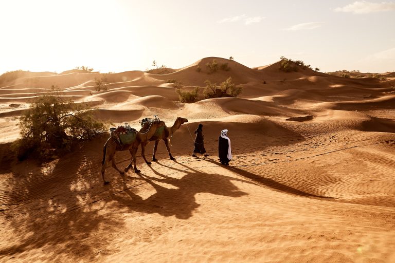 beautiful shot people walking with their camels desert erg lihoudi morocco