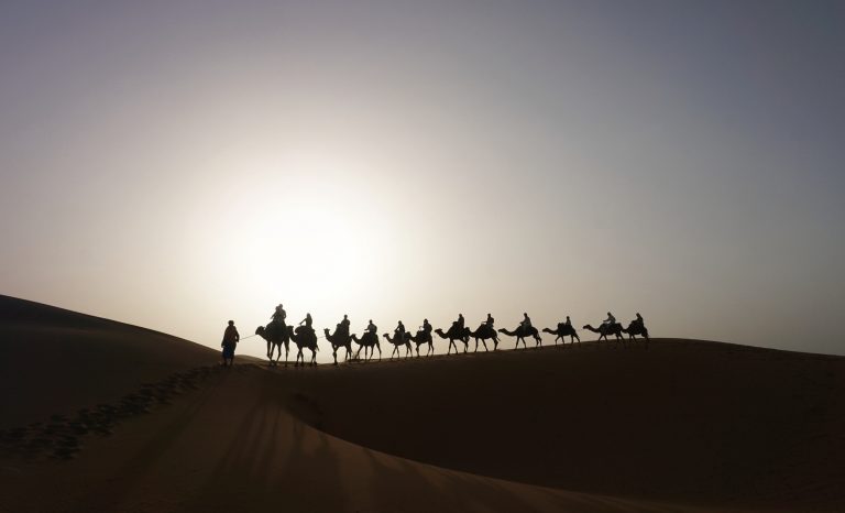 camel caravan dune erg chebbi morocco